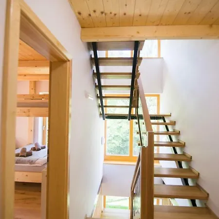 Tatransky Medved דמנובסקה דולינה