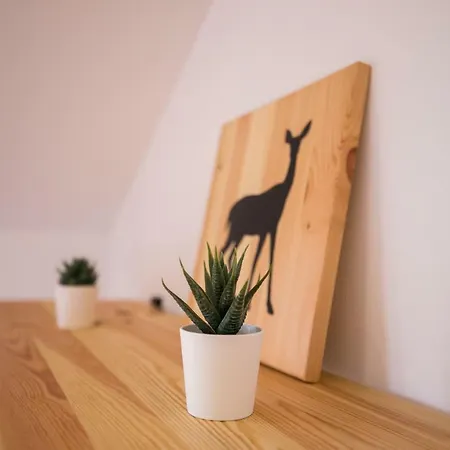 בקתה Tatransky Medved